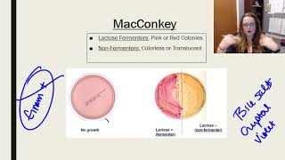 Laboratory tests media and techniques [upl. by Cris379]