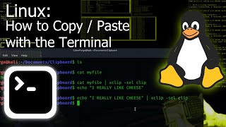 How to CopyPaste with the Terminal Linux Tutorial [upl. by Otaner]