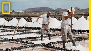 Ever Wonder How Sea Salt Is Made Find Out Here  National Geographic [upl. by Ahsieym867]