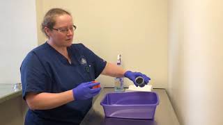 Collecting Cat Urine Sample [upl. by Deidre396]