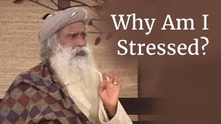 Why Am I Stressed  Sadhguru on Stress [upl. by Kenny]