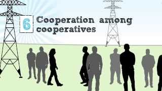 The Cooperative Business Model — The Seven Cooperative Principles [upl. by Edda]