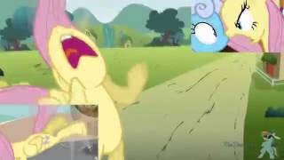 New Fluttershy Has A SPARTA EXTENDED REMIX [upl. by Neitsirk]