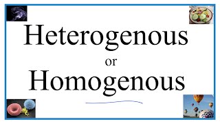 Heterogenous vs Homogenous Definitions Examples amp Practice [upl. by Leahcym]