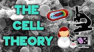 The Cell Theory  Complete Breakdown in 8 Minutes  Bio 101  STEMstream [upl. by Carling]