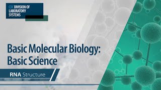 Basic Molecular Biology Basic Science – RNA Structure [upl. by Virginia]