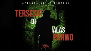 Tersesat Dalam Penelusuran Malam Alas Purwo Special Episode [upl. by Droffilc]