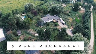 the 5 Acre Permaculture Homestead  Unbelievable Abundance [upl. by Sulakcin]