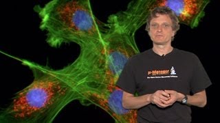 Microscopy Introduction to Fluorescence Microscopy Nico Stuurman [upl. by Leval811]