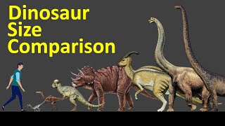 Dinosaur Size Comparison [upl. by Dralliw290]