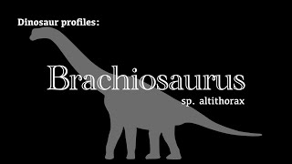 Dinosaur Profile Brachiosaurus [upl. by Aramo267]