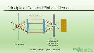 Confocal Microscopy Tutorial [upl. by Reamonn864]