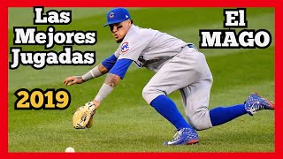 MLB Javier Báez LAS MEJORES JUGADAS El Mago baseball compilation [upl. by Toland]