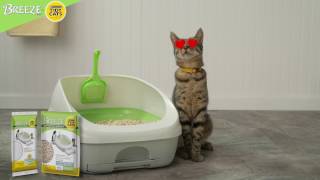 The Ease of BREEZE® Cat Litter System [upl. by Tarrance658]