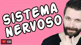 SISTEMA NERVOSO  FISIOLOGIA  Aula  Biologia com Samuel Cunha [upl. by Redla569]