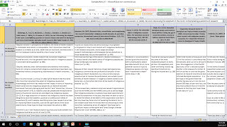 How to Create a Literature Matrix Excel [upl. by Nonnarb]