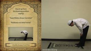 How to Pray  Asr Afternoon Pray  Fardh [upl. by Sinnaoi]