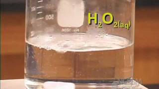 Homogeneous Catalyst [upl. by Apollo]