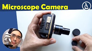 🔬 USB Microscope Camera review  Amateur Microscopy [upl. by Davis]