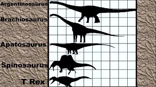 Dinosaur Size Comparison 2D [upl. by Ecad]