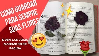 Como plastificarsecar uma flor [upl. by Melone]