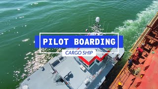 How A Pilot Boards A Cargo Ship  Life At Sea [upl. by Auhsoj]