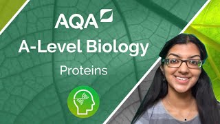 AQA A Level Biology Proteins [upl. by Supple]