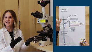 Fluorescence Microscopy [upl. by Ondrea]