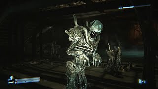 Aliens Colonial Marines Review [upl. by Kurys711]