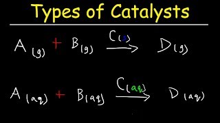 Homogeneous vs Heterogeneous Catalysts  Basic Introduction [upl. by Ninette194]