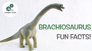 BRACHIOSAURUS FACTS  Fun amp Educational  Dinosaurs For Kids  Best Dinosaur Facts [upl. by Nitaj]