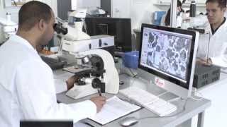 Upright Materials Microscope with LED Illumination Leica DM2700 M [upl. by Trebuh]