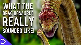 What Did The Brachiosaurus REALLY Sound Like [upl. by Anica]