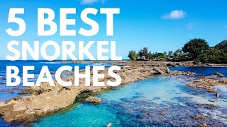 Where to Snorkel on Oahu Hawaii  5 Best Snorkel Spots on Oahu [upl. by Esiom380]