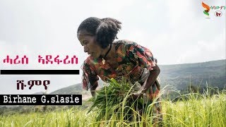 Shumye Gebreslase  Harise  ሓሪሰ ኣደፋሪሰ  old Tigrigna Music 2020 [upl. by Vivianne619]