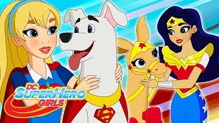 Pets Peeved Part 1  409  DC Super Hero Girls [upl. by Egoreg]