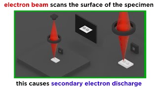 Electron Microscopy TEM and SEM [upl. by Armand]