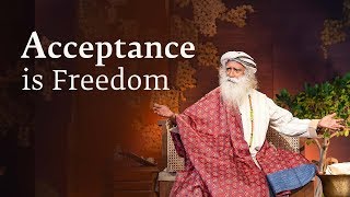 Why Acceptance Is Freedom  Sadhguru Spot 2nd Aug 2018 [upl. by Aras]