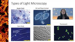 Types of Light Microscopy [upl. by Ayek540]