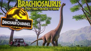 What Was The Brachiosaurus  The Dinosaur Channel [upl. by Deys]