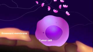 Introduction to Cancer Biology Part 3 Tissue Invasion and Metastasis [upl. by Corbet]