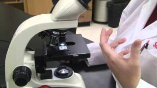 Introduction to the Light Microscope [upl. by Pryce]