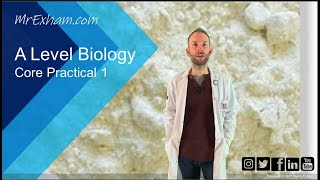 Core Practical 1  A Level Biology [upl. by Sitsuj]