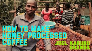 How To Make Honey Processed Coffee  Joel Kaburu from Sipi Falls Uganda [upl. by Aggappera]