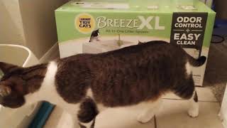 Tidy Cats Breeze XL litter system initial review [upl. by Deeyn210]