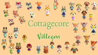 Villagers for your Cottagecore Island Animal Crossing New Horizons [upl. by Hgielek]