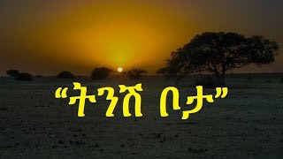 Ethiopia  Amharic poem Nebiy Mekonnen ነብይ መኮንን  Tinish Bota ትንሽ ቦታ [upl. by Valtin]