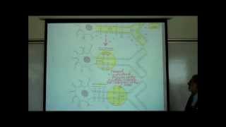 ACTION POTENTIALS IN NEUROPHYSIOLOGY by Professor Fink [upl. by Niel]