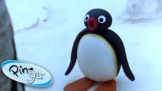 Pingus Big Trip  Pingu Official  Cartoons for Kids [upl. by Aihseyt798]