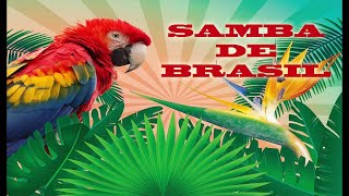 SAMBA DE BRASIL [upl. by Heuser]